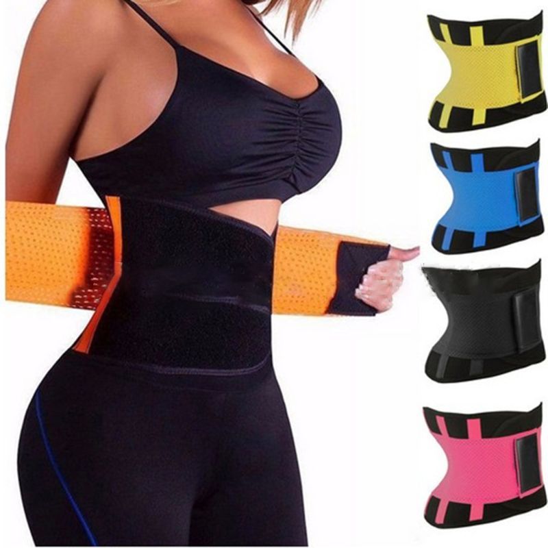 Shaping Belt
